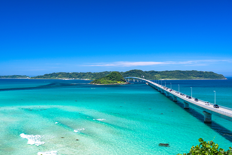 博多発　日帰りバスツアー絶景の角島大橋と元乃隅稲成神社